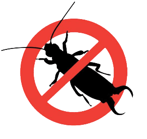 Earwig exterminator Earwig control Pest control Gilbert AZ
