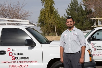 general pest control insect control Gilbert AZ