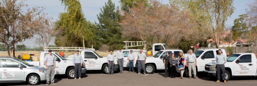 Pest Control Solutions Staff and Fleet